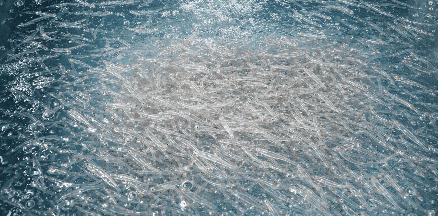 Test 3